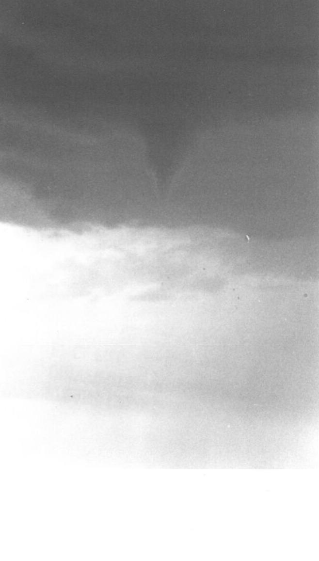 It's a Twister!
